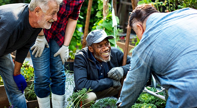 Older man kneeling down in garden smiling up at man in front of him gardening with others around