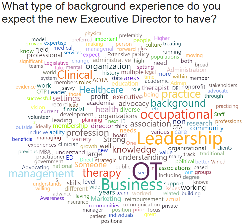 A word cloud depicting answers to the question What type of background experience do you expect the new Executive Director to have