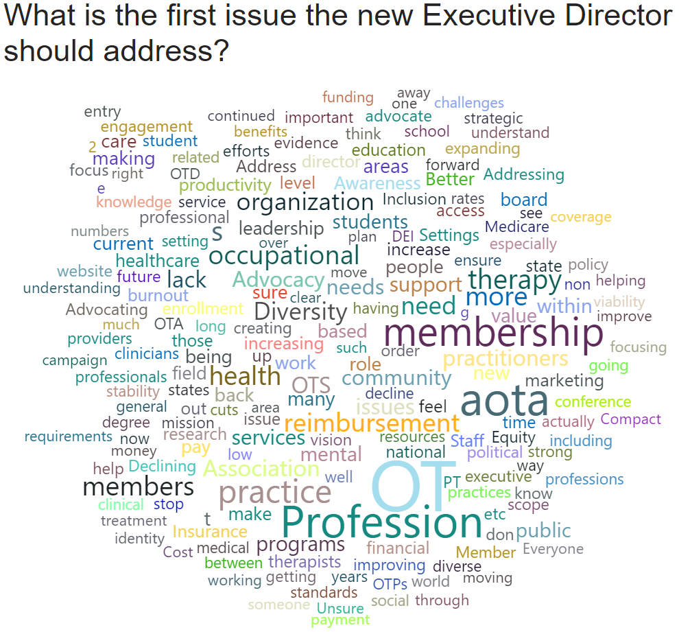 A word cloud depicting answers to the question What is the first issue the new Executive Director should address