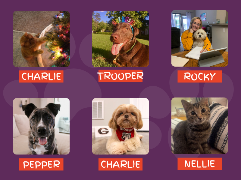 May 2024 OTSP Pets of the Month: Charlie, Trooper, Rocky, Pepper, Charlie, and Nellie