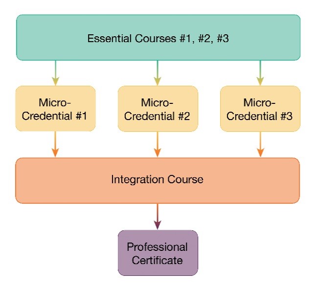 AOTA’s Professional Certificate & Micro Credentials | AOTA